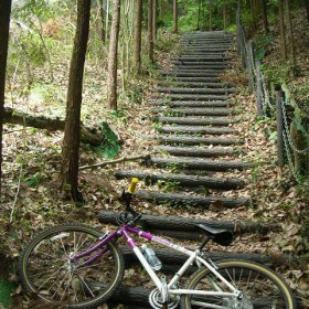 20100527_1571 20100527_1571