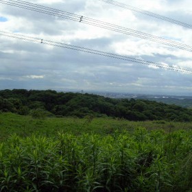 20100527_1574 20100527_1574