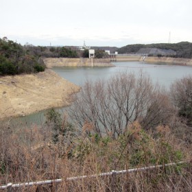 20110405_IMG_1065