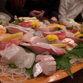 20120305_R0010526