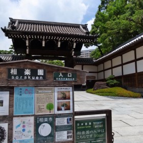 20130617_R0015221