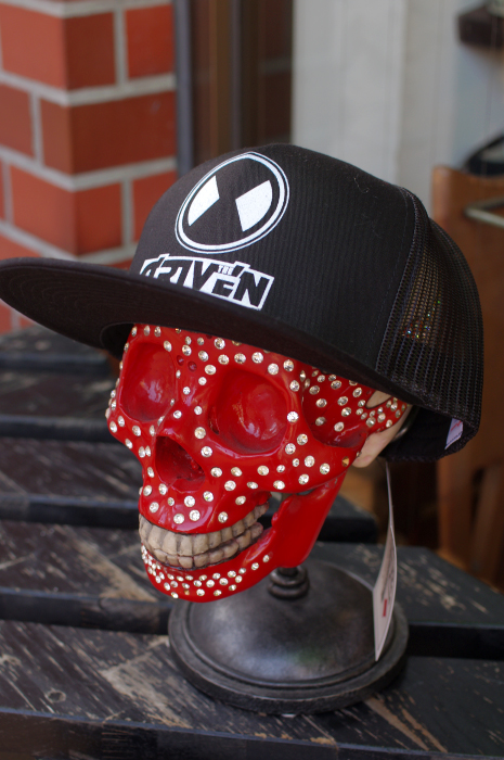 THE DRIVEN SKATEBOARDS DOT LOGO MESH CAP USED ドットロゴ