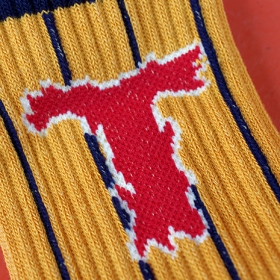 T LOGO SOCKS