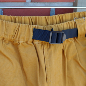 LIGHT CANVAS PAINTER SHORTS