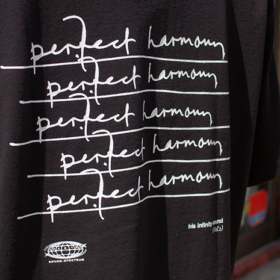 PERFECT HARMONY S/S TEE